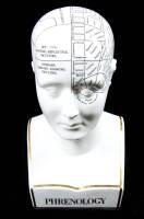 Phrenology Bust, Limited to 1/1000