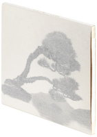 Bonsai: Microcosms Macrocosms