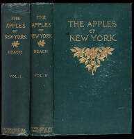 The Apples of New York