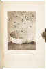The Complete Writings of Henry Wadsworth Longfellow - 5