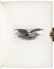 U.S. Treasury, Specimens - 8