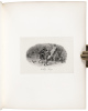 U.S. Treasury, Specimens - 10