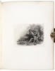 U.S. Treasury, Specimens - 11