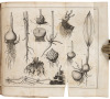 Elements of Botany: or Outlines of the Natural History of Vegetables [with] Collections for an Essay towards a Materia Medica of the United-States - 3