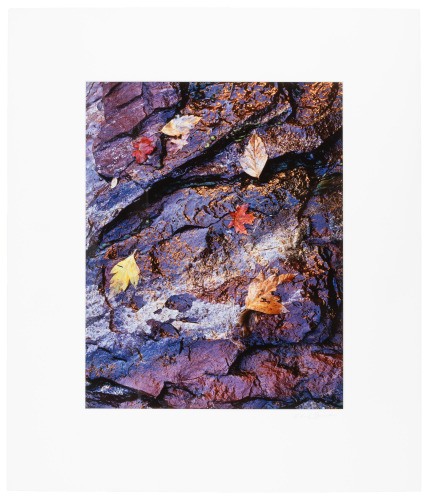 Leaves and Cliff Abstraction #1