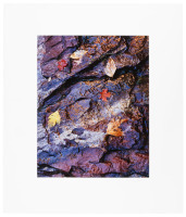 Leaves and Cliff Abstraction #1