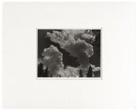 [Clouds over treetops]