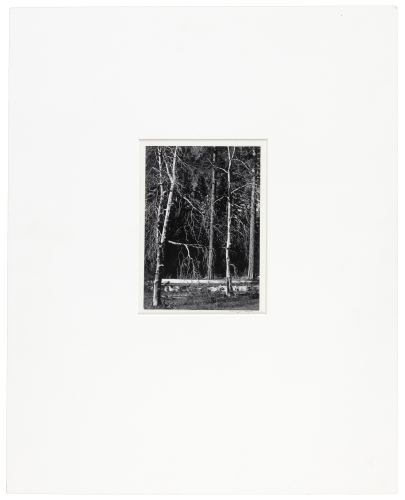 [Untitled]