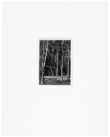 [Untitled]