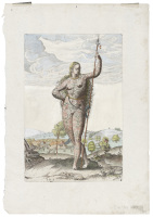 [The true picture of a young daughter of the Picts]