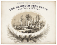 Vischer's Views of California: The Mammoth Tree Grove Calaveras County, California. And Its Avenues