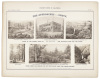 Vischer's Views of California: The Mammoth Tree Grove Calaveras County, California. And Its Avenues - 4