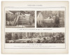 Vischer's Views of California: The Mammoth Tree Grove Calaveras County, California. And Its Avenues - 6