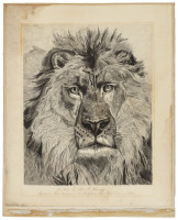 Original pen drawing awarded first premium at the California State Fair