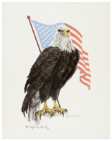 The Eagle and the Flag