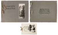 Three view books of Yosemite