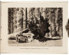 Three view books of Yosemite - 8