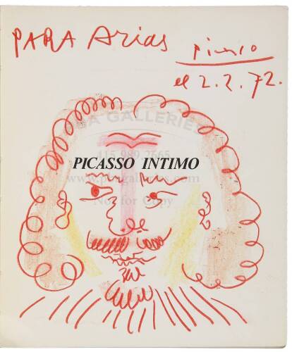 Picasso Intimo