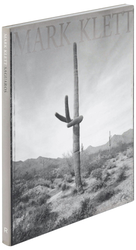 Saguaros