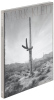 Saguaros