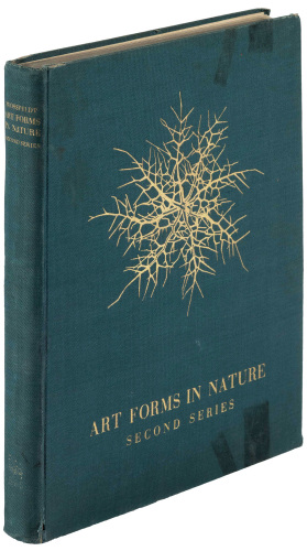 Art Forms in Nature. Second Series