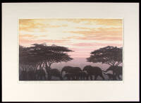 Evening in Africa