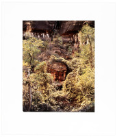 Zion National Park, 1989