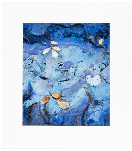 Leaves and Blue Pool, Abstraction #6