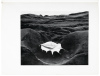 Edward Weston - 5
