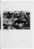The Bikeriders - 6