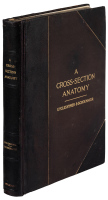 A Cross-Section Anatomy