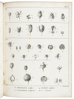 Considérations sur la famille des Euphorbiacées [bound with] De Euphorbiacearum Generibus Medicisque Earumdem Viribus Tentamen...