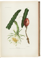 Genera et Species Plantarum Argentinarum Opus, Quod in ordinem redegit et direxit Horatius R. Descole