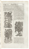 Botanologia: The English Herbal - 4