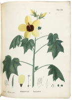 Illustrationes et icones rariorum stirpium quae in eius horto ripulis florebant annis 1827-28, addita ad Hortum Ripulensem appendice IV