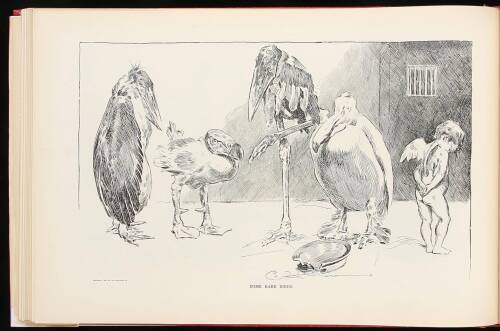 The Gibson Book: A Collection of the Published Works of Charles Dana Gibson