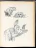 He Drew As He Pleased: A Sketchbook by Albert Hurter