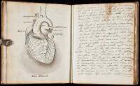 Nineteenth century medical manuscript with anatomical drawings