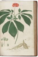 American Medical Botany, being a Collection of the Native Medicinal Plants of the United States...