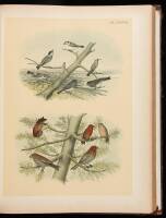 Studer's Popular Ornithology. The Birds of North America: Drawn and Colored from Life by Theodore Jasper, M.D