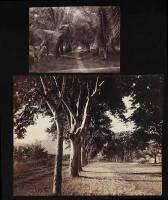 Collection of approximately 90 original albumen photographs, most of Tahiti and Tahitians, with a few of other Pacific islands and islanders