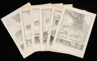 Lot of 6 Copper-engraved plates of Large Cats from Buffon's Histoire Naturelle