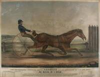 The Celebrated Trotting Horse Trustee As he Appeared in his Twentieth Mile…20 miles in 1 hour over the Union Course, L.I., Oct. 20th, 1848