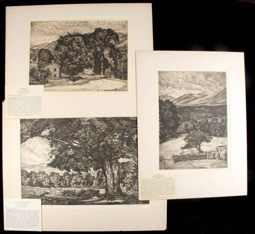 Group of 3 signed limited etchings