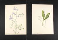 Set of two original watercolors of flowers
