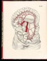 Plates of the Arteries, With References; for the Use of Medical Students