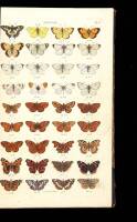 Index Entomologicus; Or, A Complete Illustrated Catalogue Consisting of 1944 Figures of the Lepidopterous Insects of Great Britain.