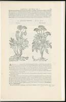 A Leaf from the 1583 Rembert Dodoens Herbal printed by Christopher Plantin