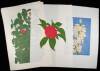 Lot of 15 Linoleum-Block Prints of State Flowers, each signed, titled and numbered in pencil - 2