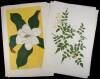 Lot of 15 Linoleum-Block Prints of State Flowers, each signed, titled and numbered in pencil - 3